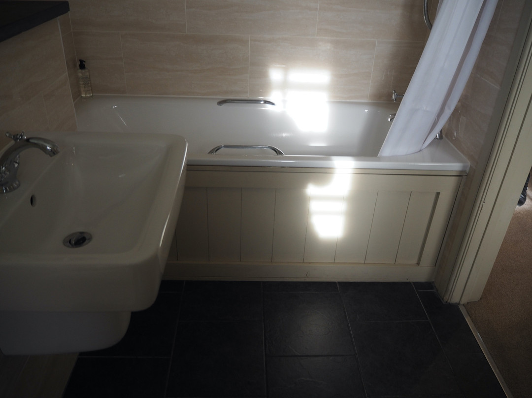 The Bear Hotel主图