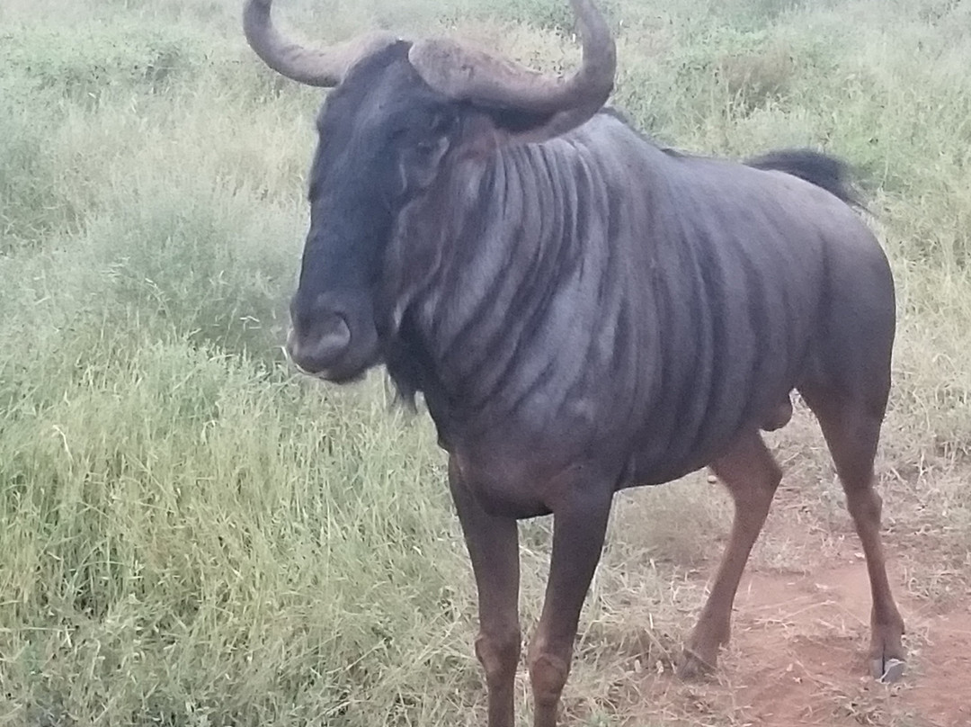 Sentashya Safaris-玛洛斯帕克必去景点