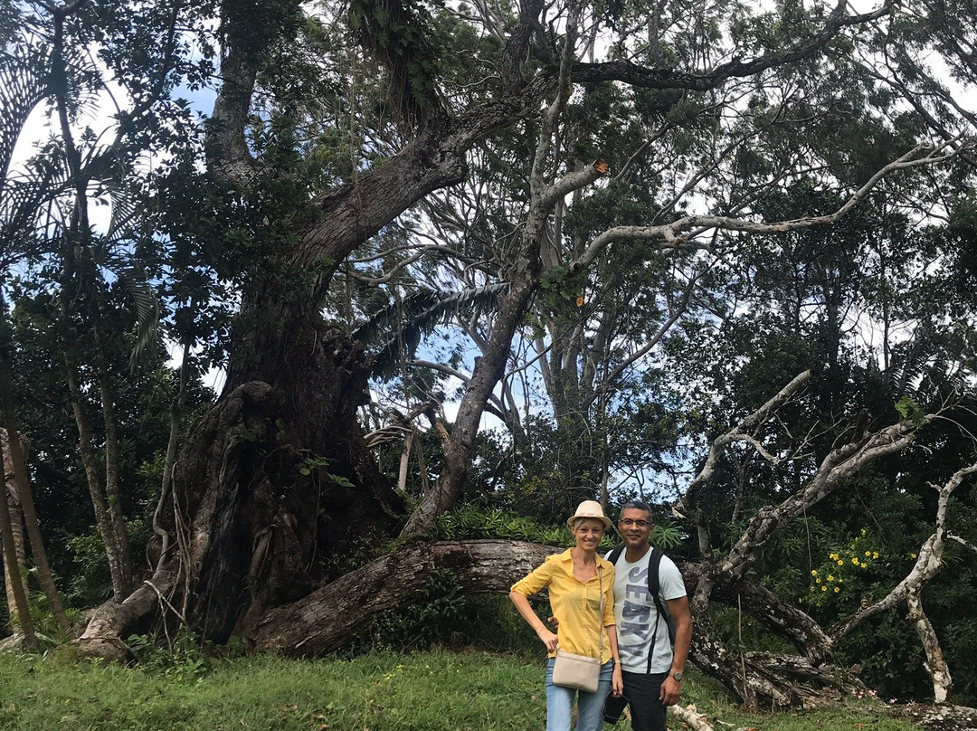 Nahampoana Reserve景点图片