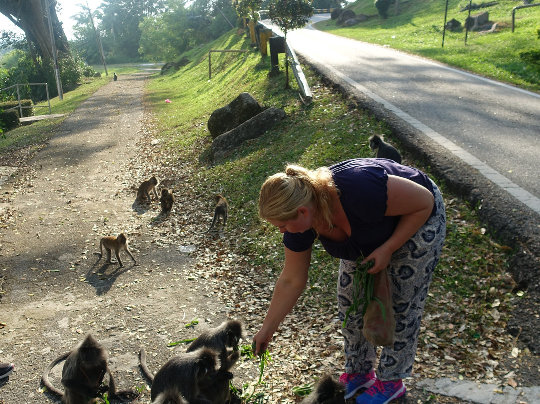 Bukit Melawati-瓜拉雪兰莪必去景点