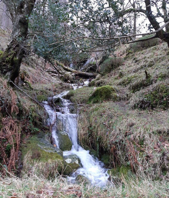 Poulanass Waterfall-Derrybawn必去景点