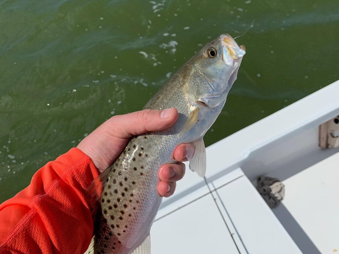 Ivory Keys Fishing Charter-伊斯拉摩拉达必去景点