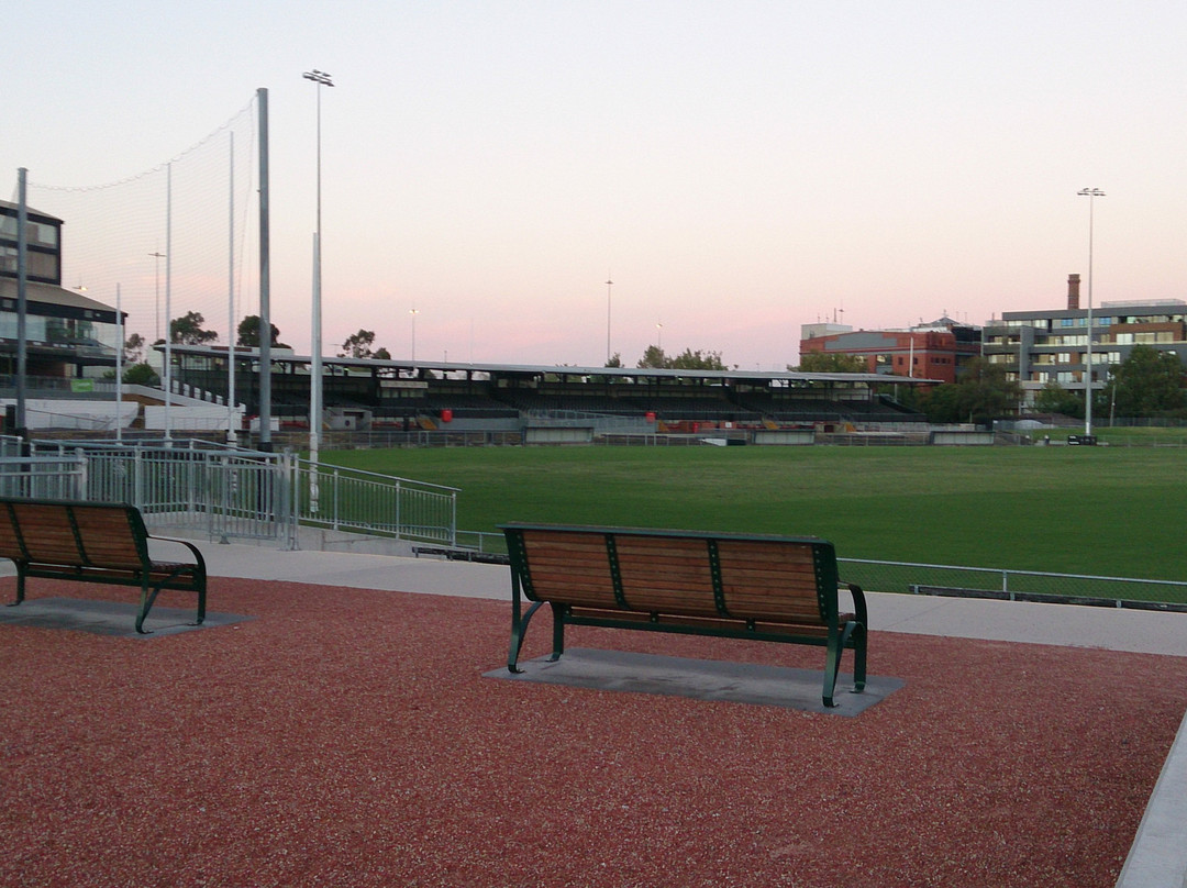 Victoria Park-科灵伍德必去景点