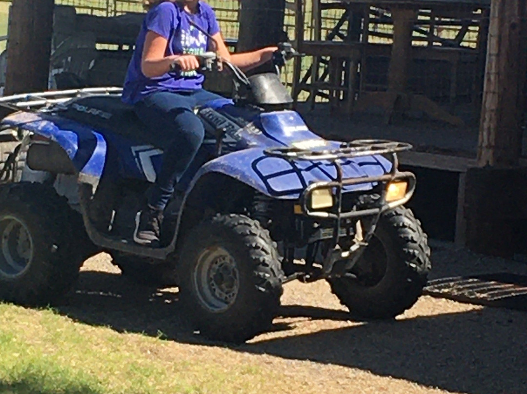 Desert Horse Adventures-尤马必去景点