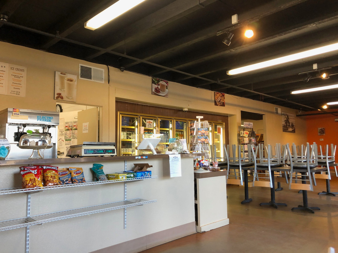 Oasis Date Gardens-Thermal必去景点