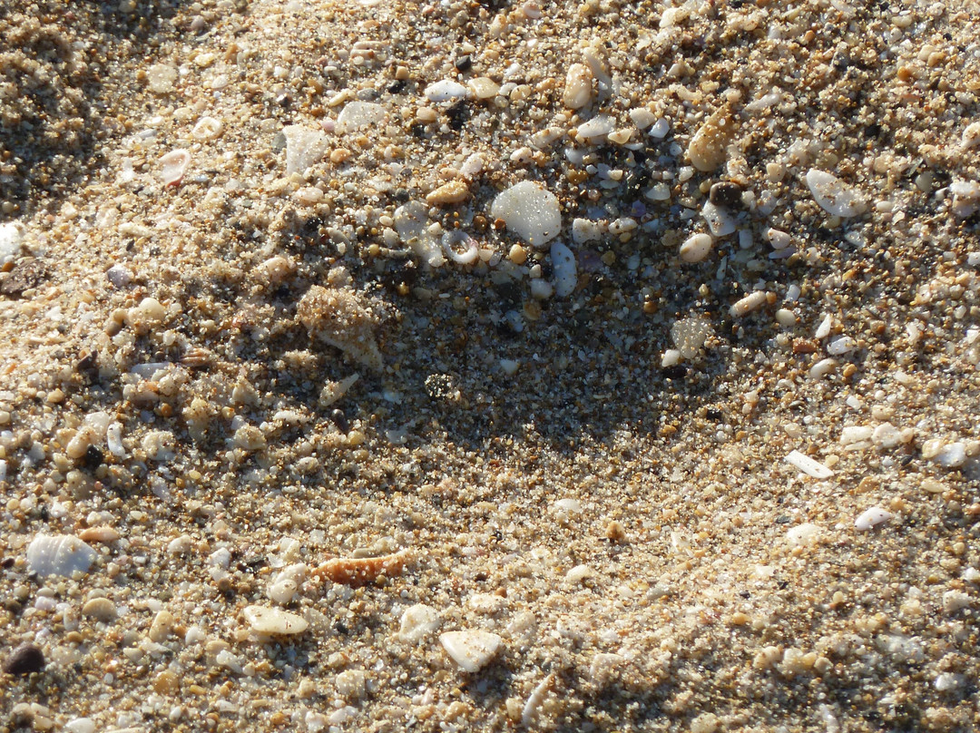 Kabila Hotel & Spa主图