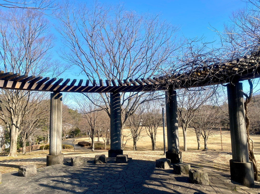 Oyato Park-多摩市必去景点