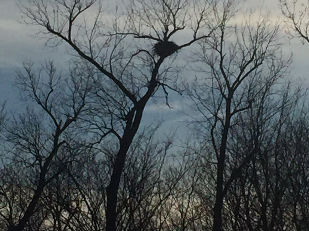 Reelfoot National Wildlife Refuge-尤宁城必去景点