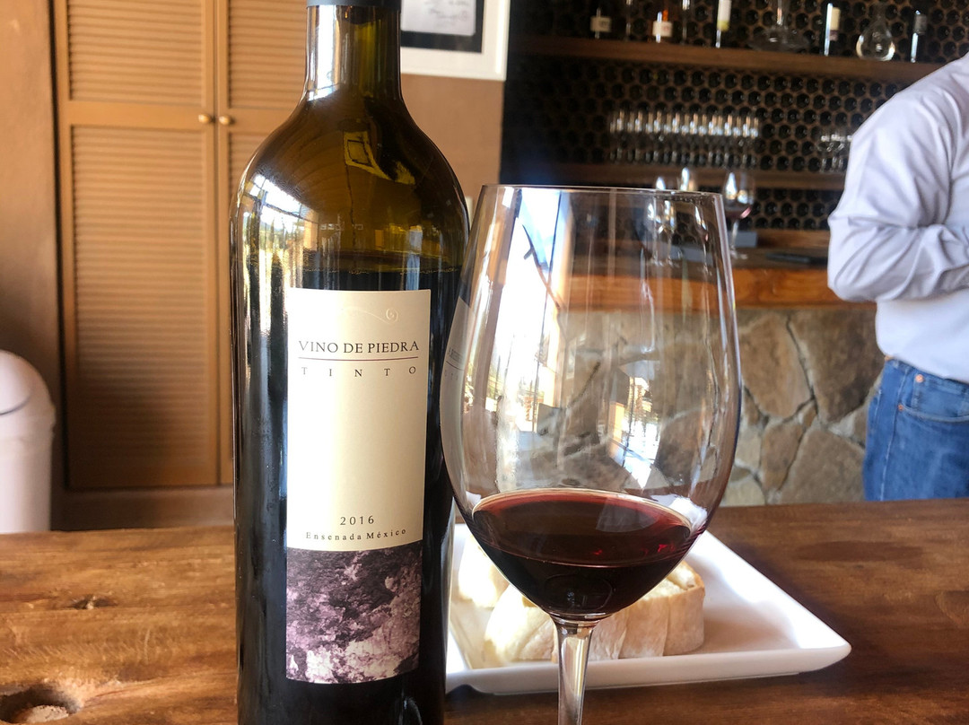 Vinos Casa de Piedra景点图片