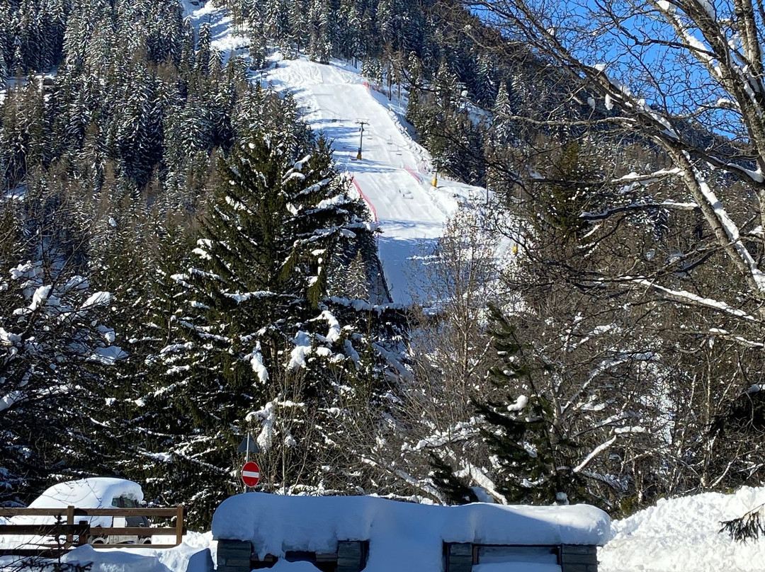 Chalet Alpina Hotel & Apartments主图