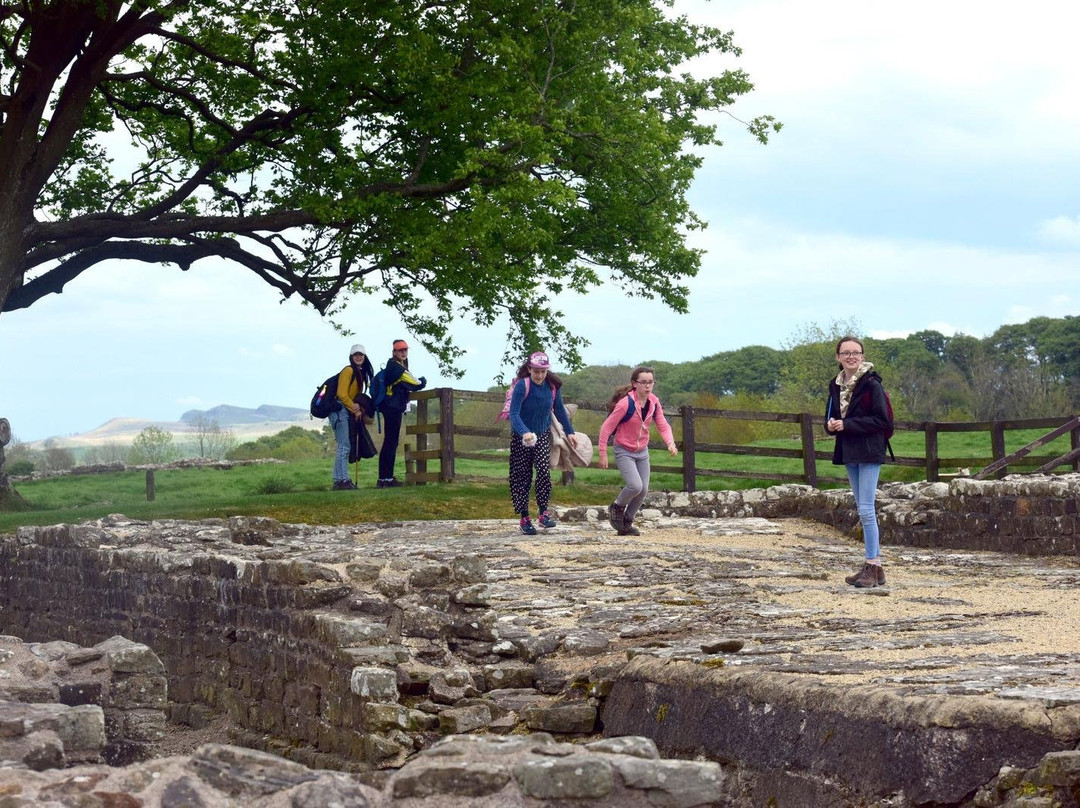 Birdoswald Roman Fort - Hadrian's Wall景点图片