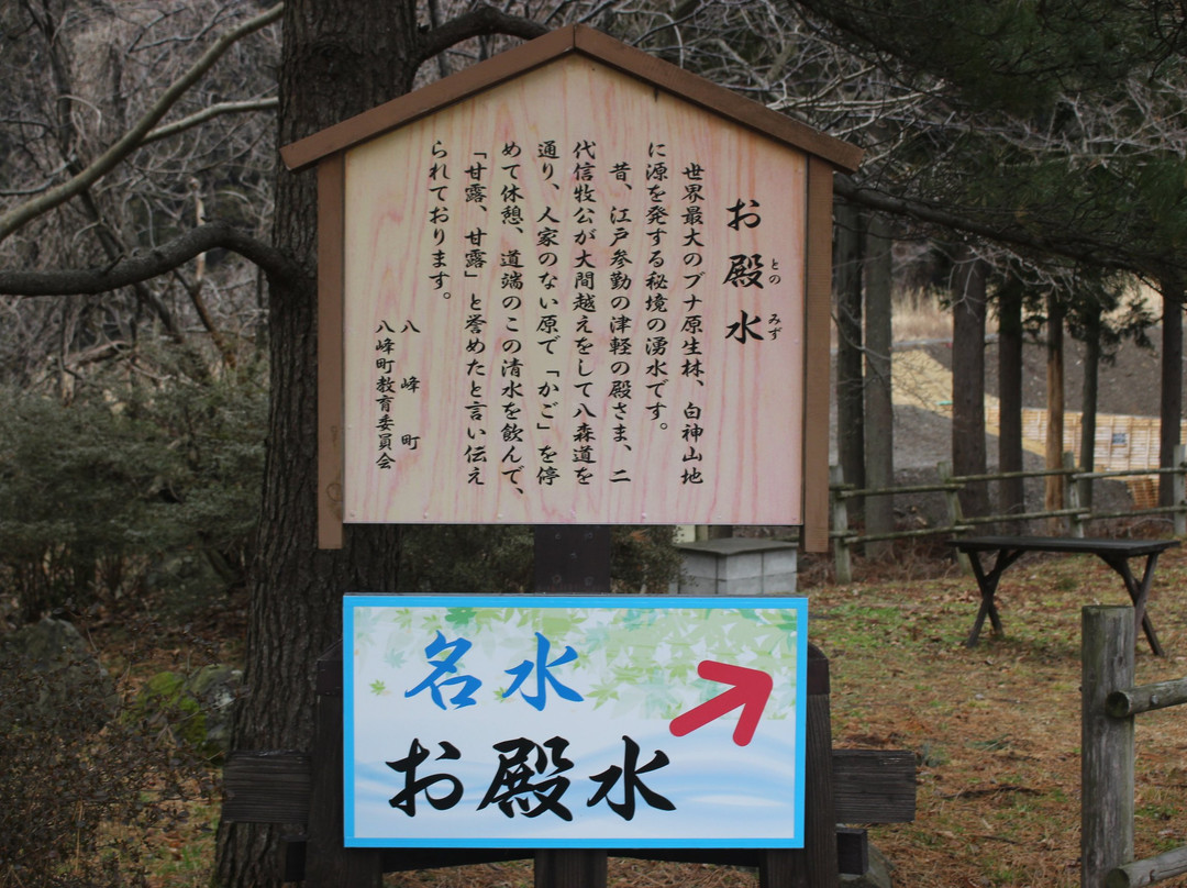 Michi-no-Eki Hachimori-八峰町必去景点