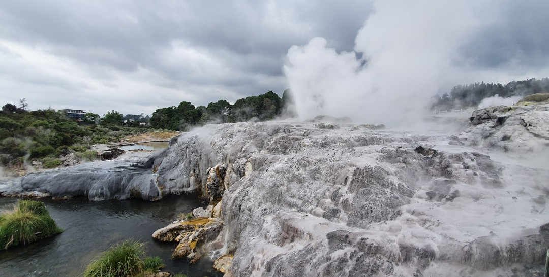 Whakarewarewa Geothermal Valley景点图片