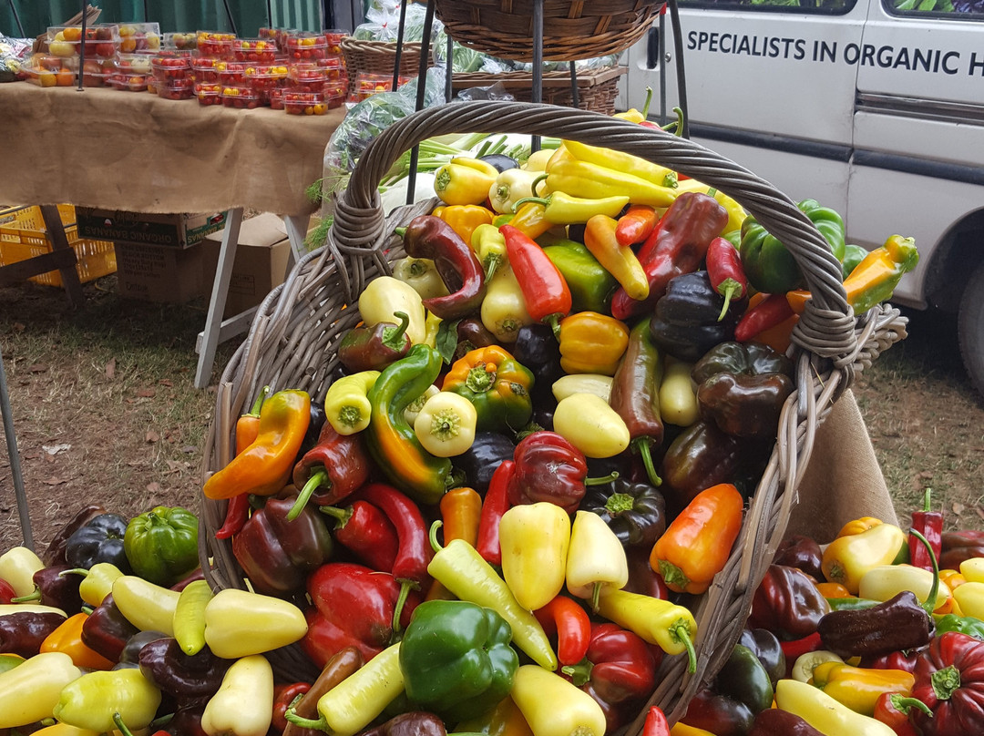 Hawkes Bay Farmers Market景点图片