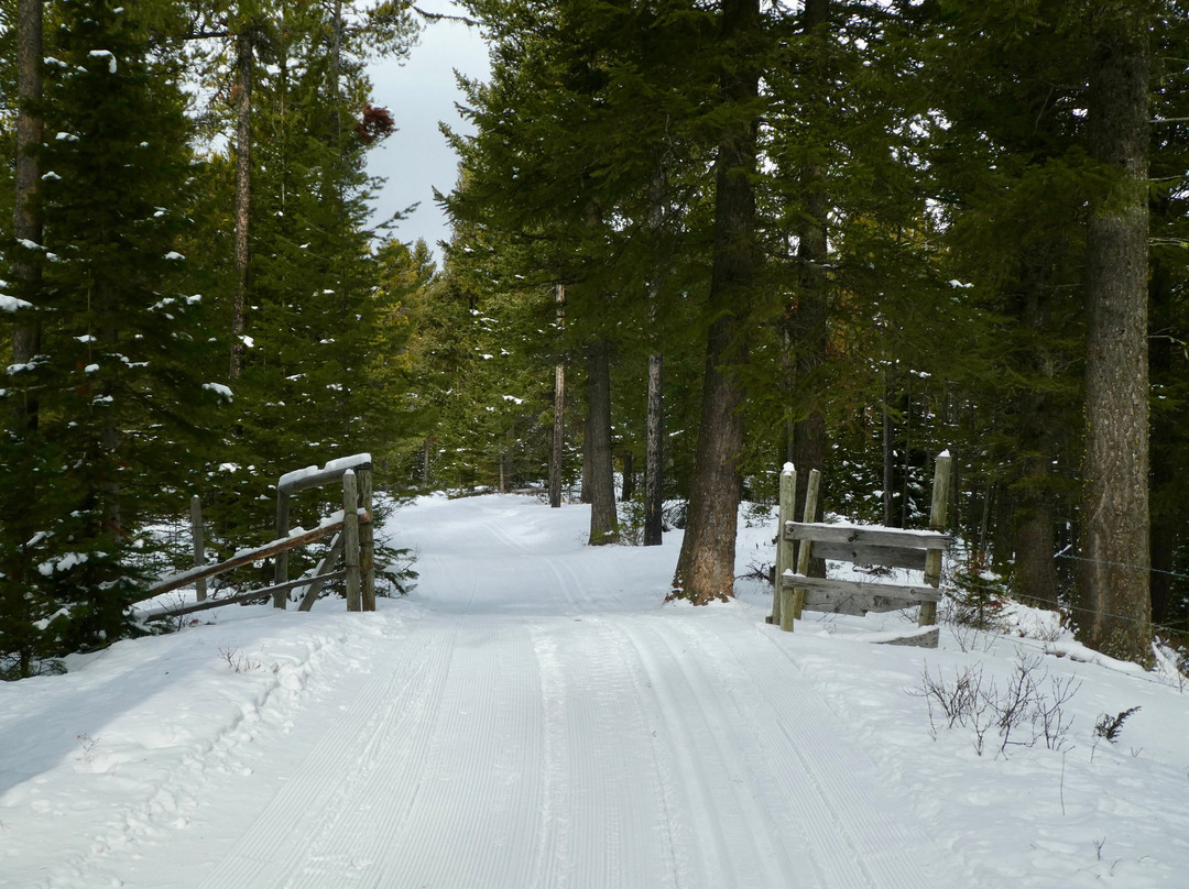 Allison Lake Cross Country Ski Trails-科尔曼必去景点