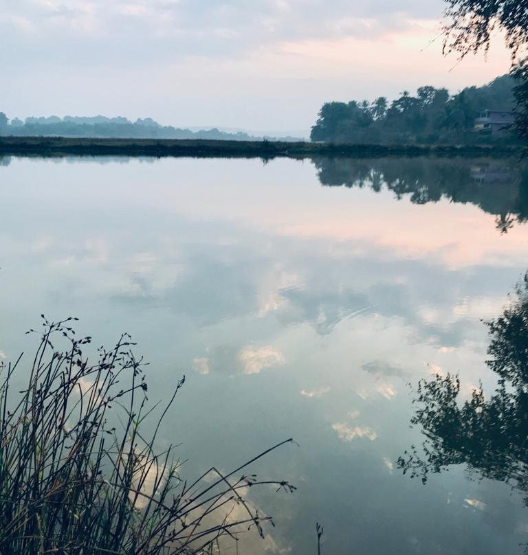 The Island Sanctuary Goa主图