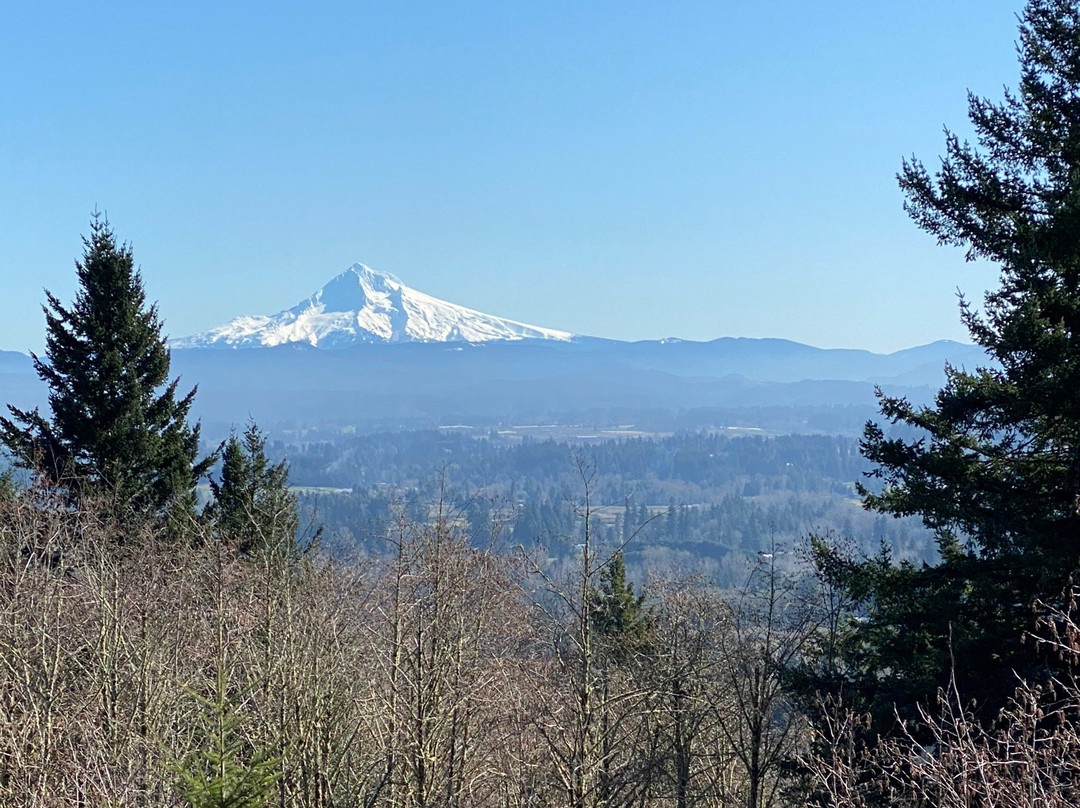 Hogan Butte Nature Park-格雷舍姆必去景点
