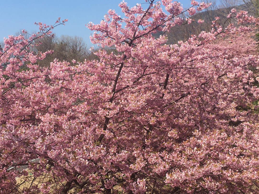 Kenmin no Hama (Hiroshima Prefectural Beach)-吴市必去景点