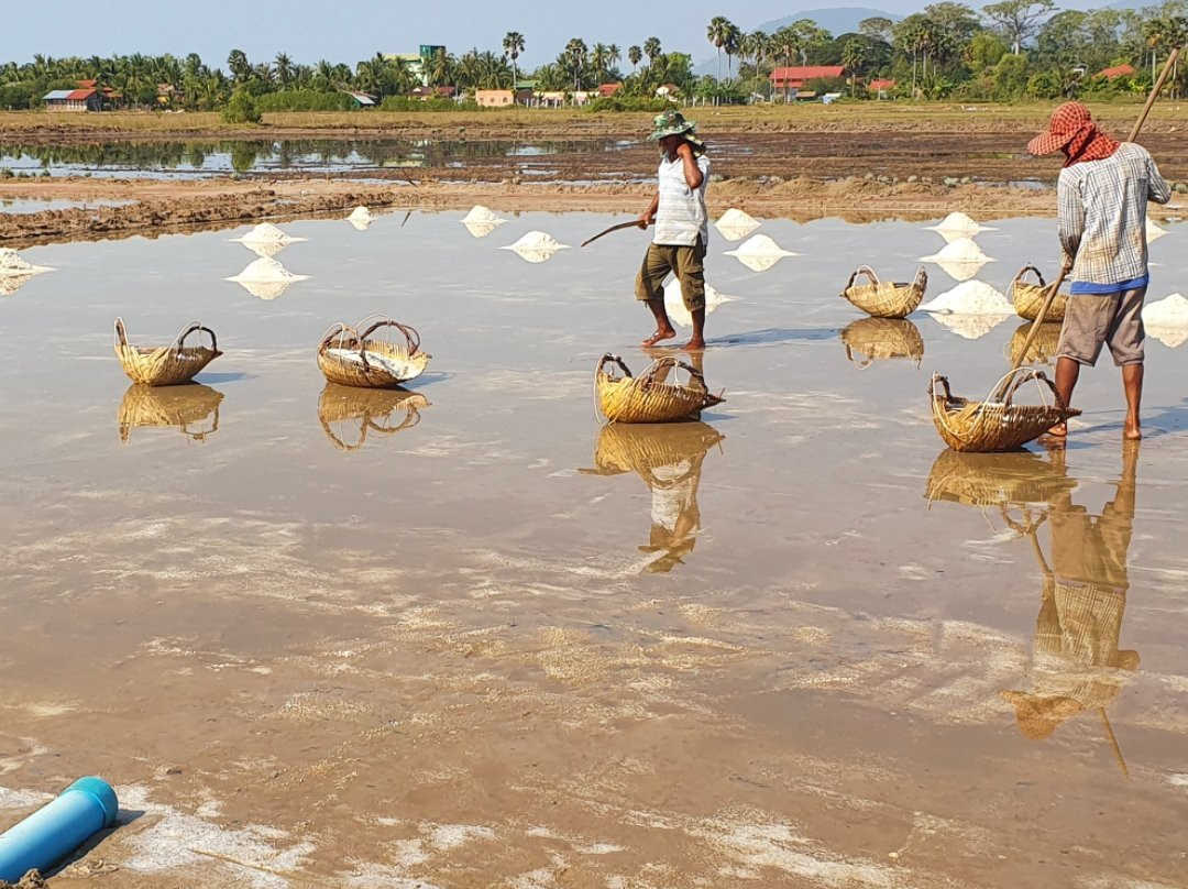 Salt Fields-贡布必去景点