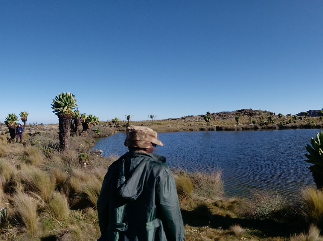 Mount Elgon National Park-Bungoma必去景点