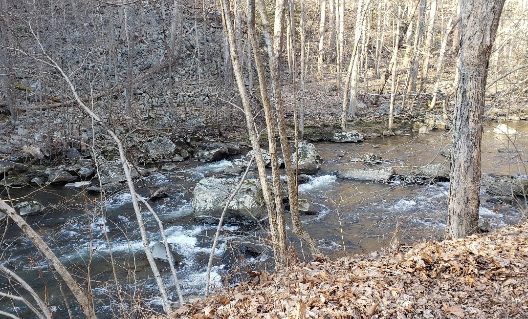 Ken Lockwood Gorge Wildlife Management Area景点图片