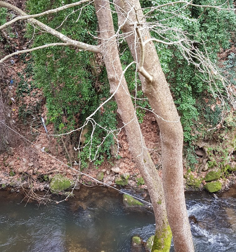 Gorge of Vouraikos-卡拉夫里塔必去景点