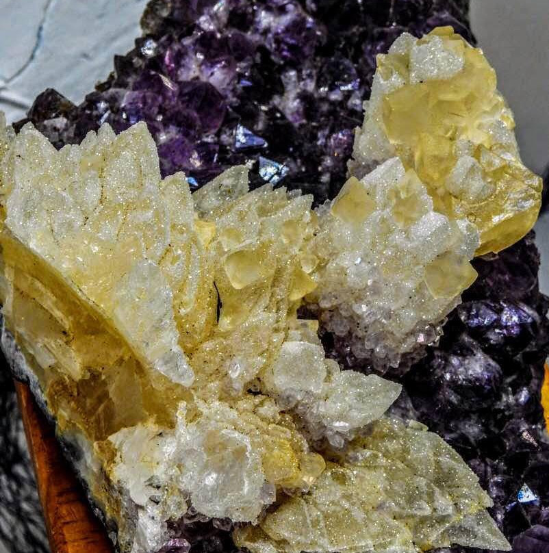 Pineapple Rocks-萨拉索塔必去景点