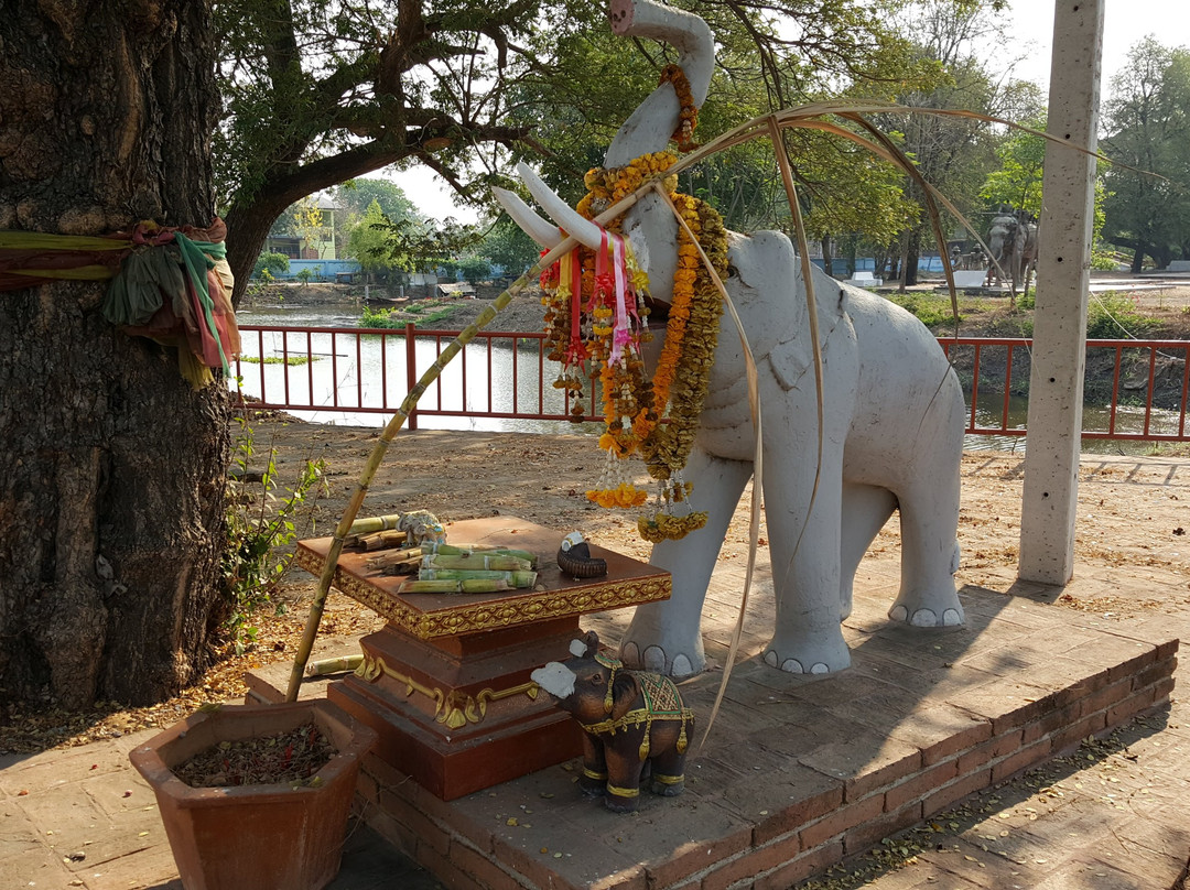 War Elephants Monument-大城必去景点