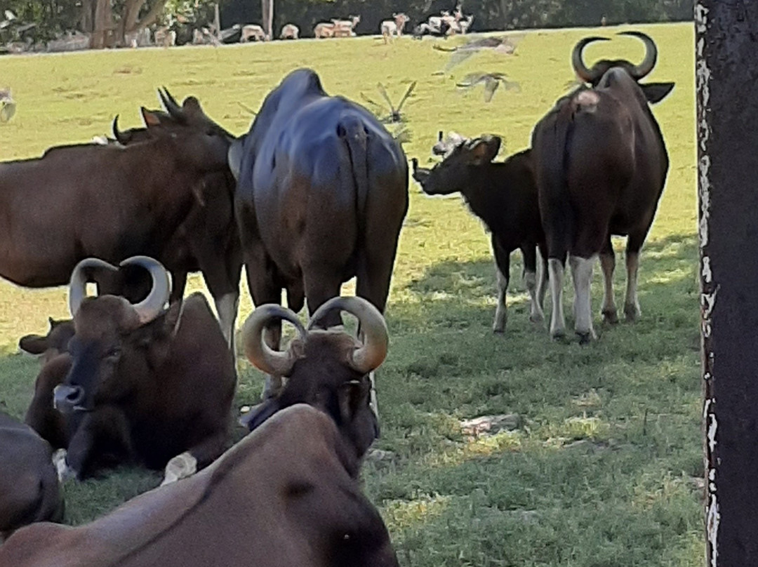 Yumká-Villahermosa必去景点