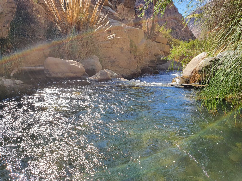 Cabanas El Albaricoque Cochiguaz