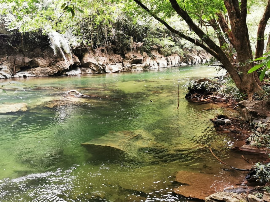 Río Claro Valley-麦德林必去景点