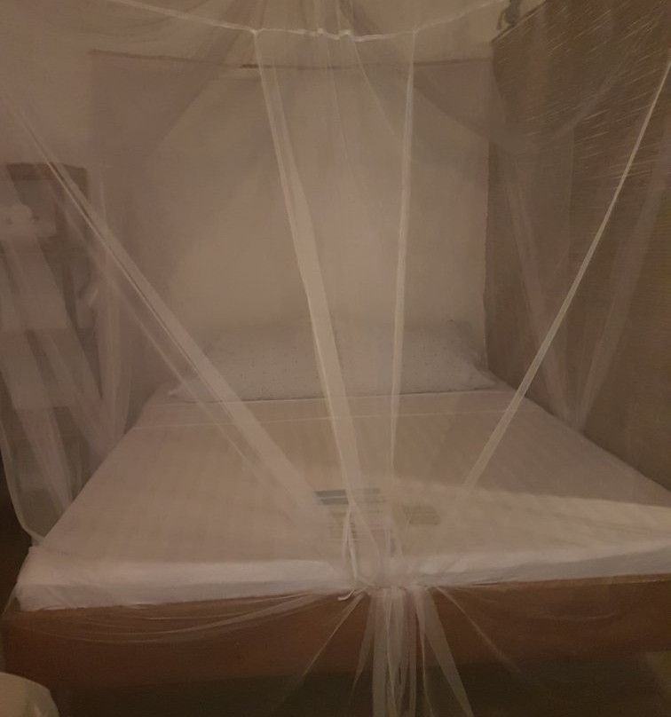 Malijon Siargao主图