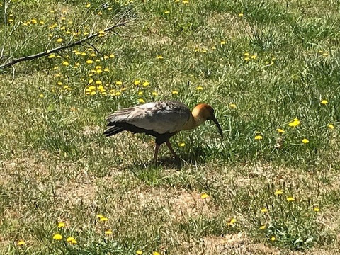 Charming Luxury Lodge & Private Spa主图