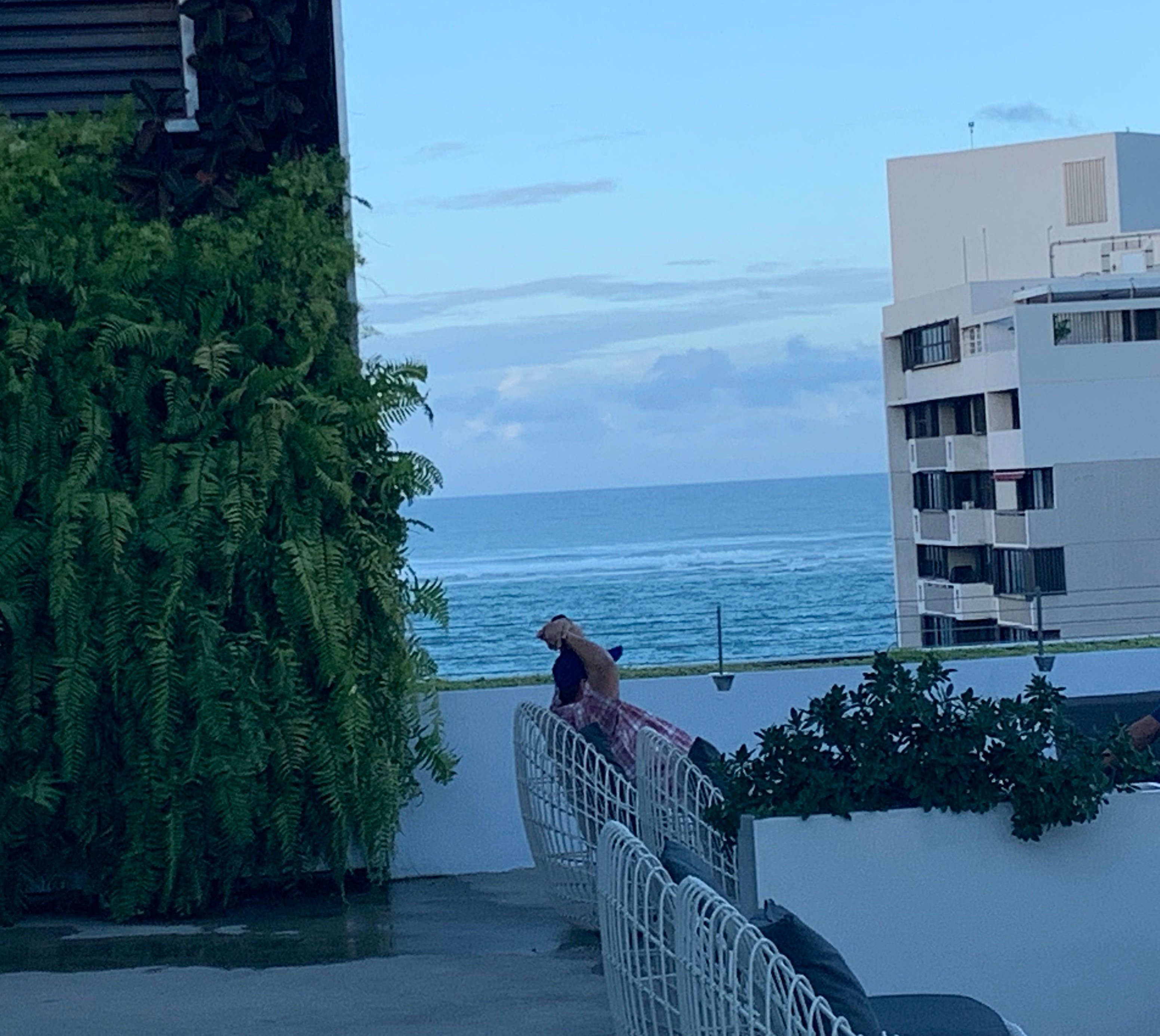AC Hotel San Juan Condado-浴室