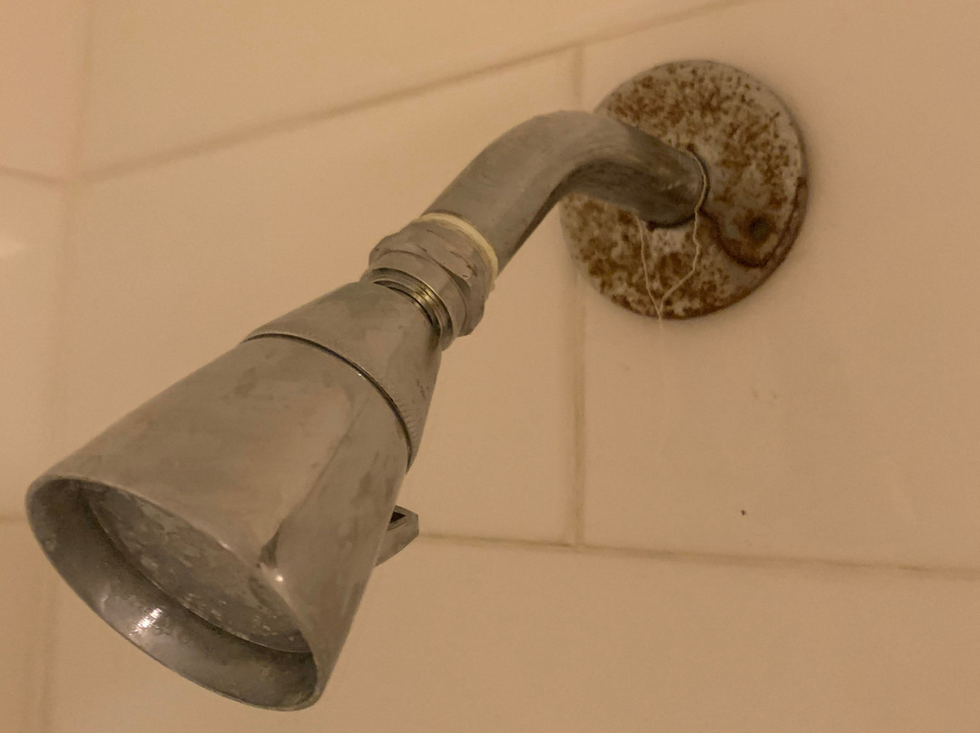 Garden Inn Homestead主图