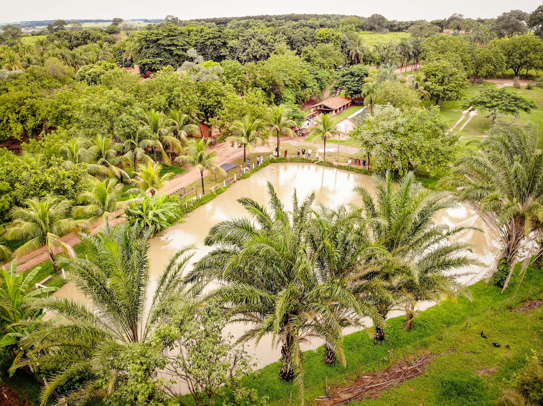 Indiapora酒店住宿-Eco Resort Foz do Marinheiro