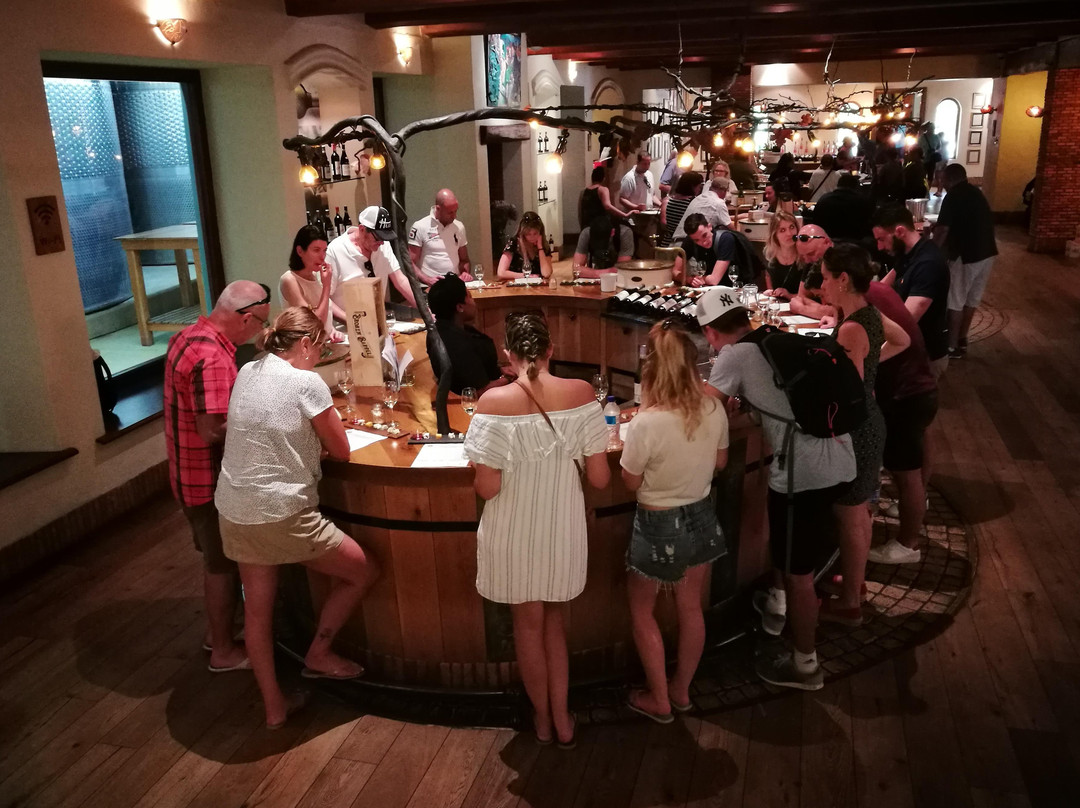 Winelands Guide-斯泰伦博斯必去景点