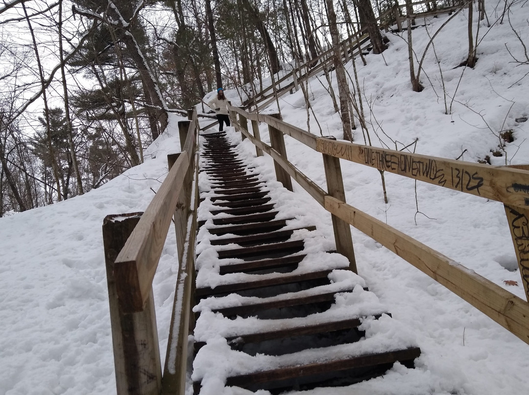Devil's Punchbowl Preserve景点图片