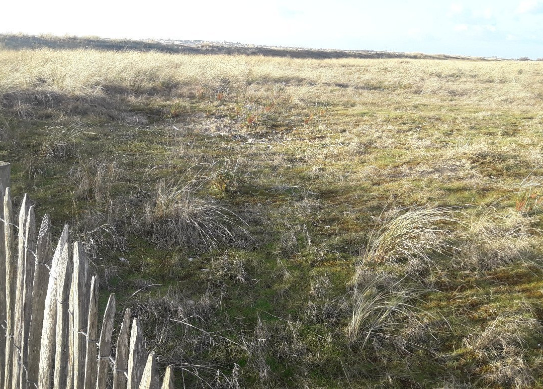 Reserve Naturelle du Marais d'Yves-Yves必去景点