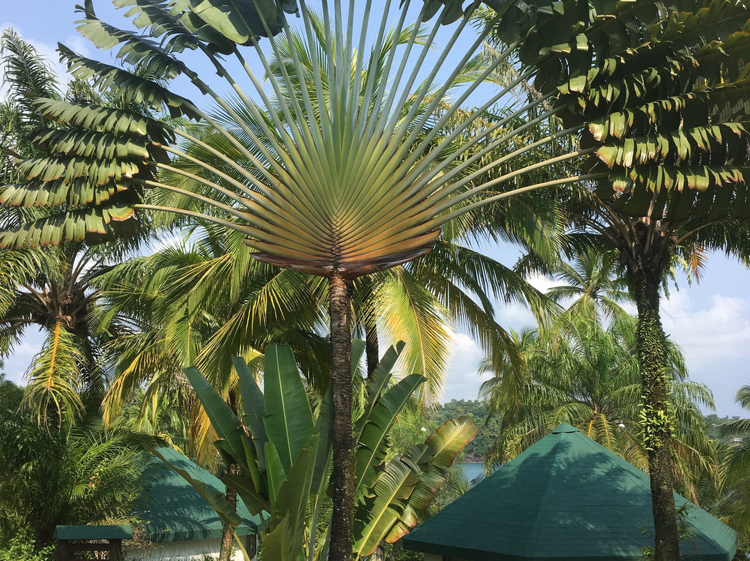 Club Santana Beach & Resort主图
