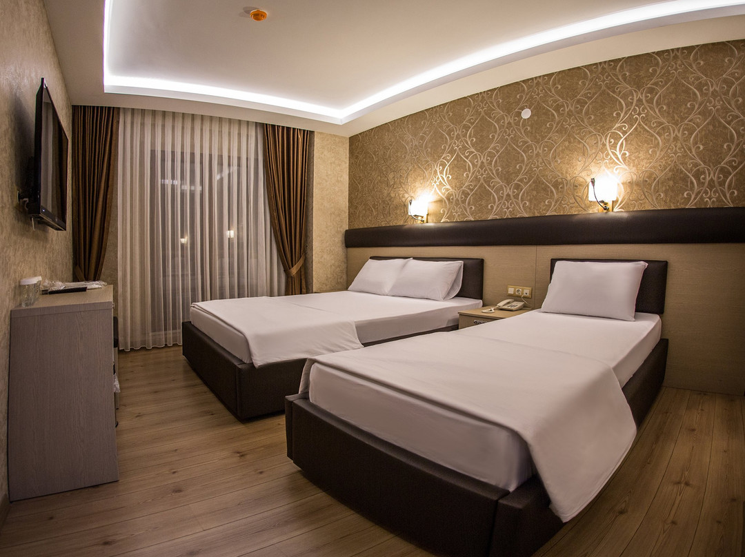Payidar Hotel主图