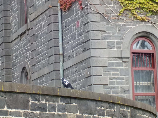 Victoria Barracks, Melbourne-墨尔本必去景点