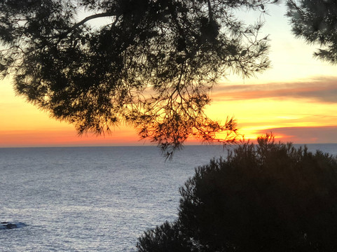 圣豪尔赫公园酒店主图