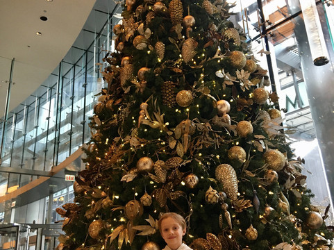 芝加哥川普国际酒店及大厦主图