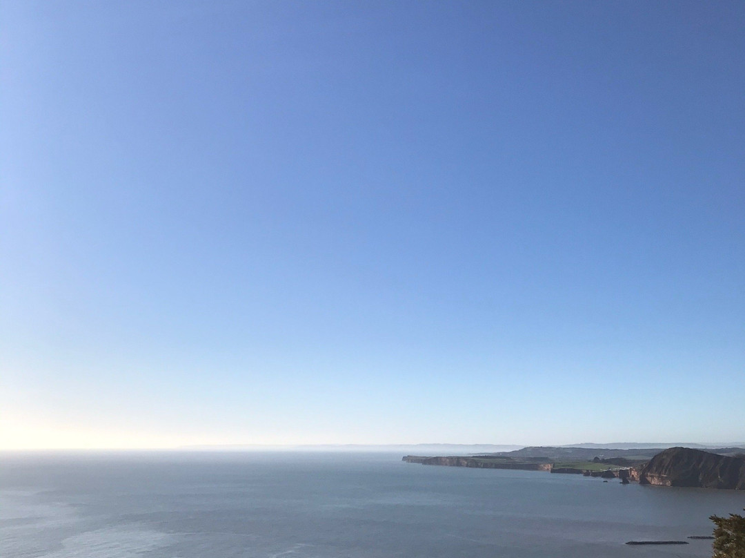 Salcombe Hill Walk-西德茅斯必去景点