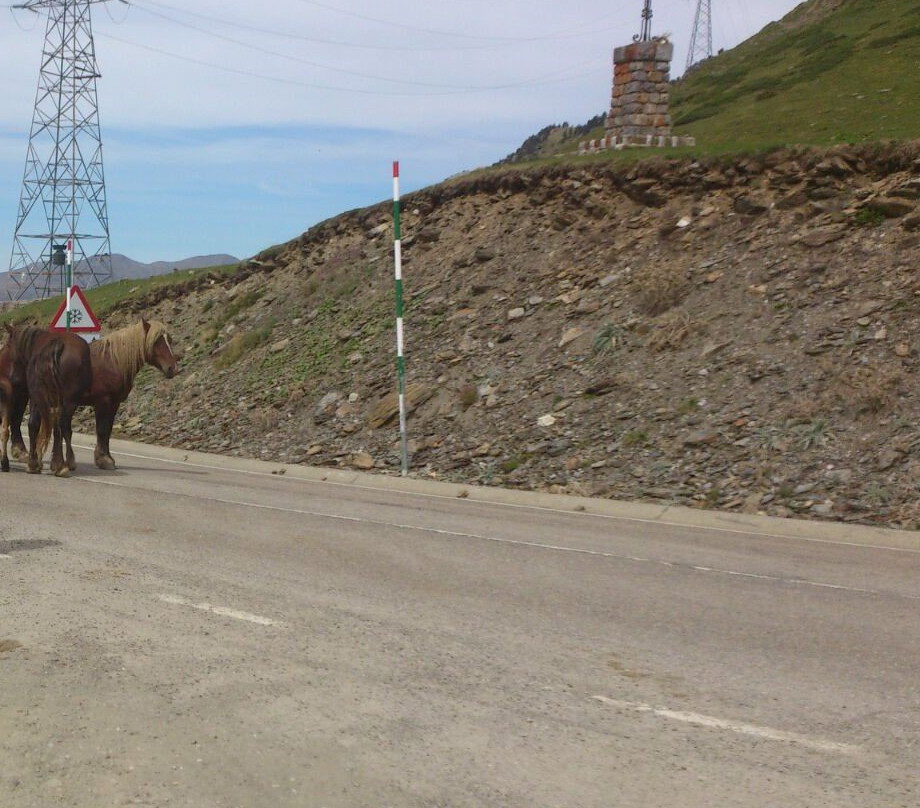 La Bonaigua Hotel主图