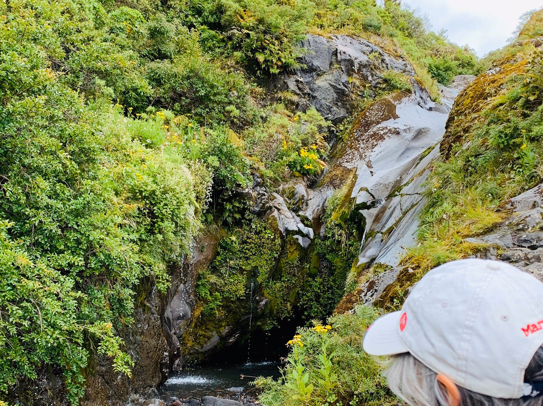 Wilkies Pools Loop Track景点图片