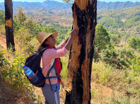 Jungleking Trekking Service-格劳必去景点