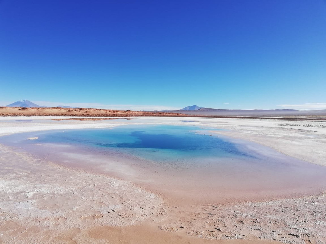 Arizaro Salt Pan景点图片
