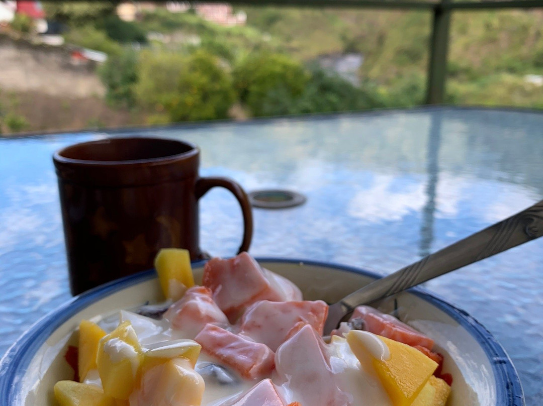 绿色家庭旅馆主图